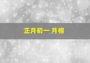 正月初一 月相